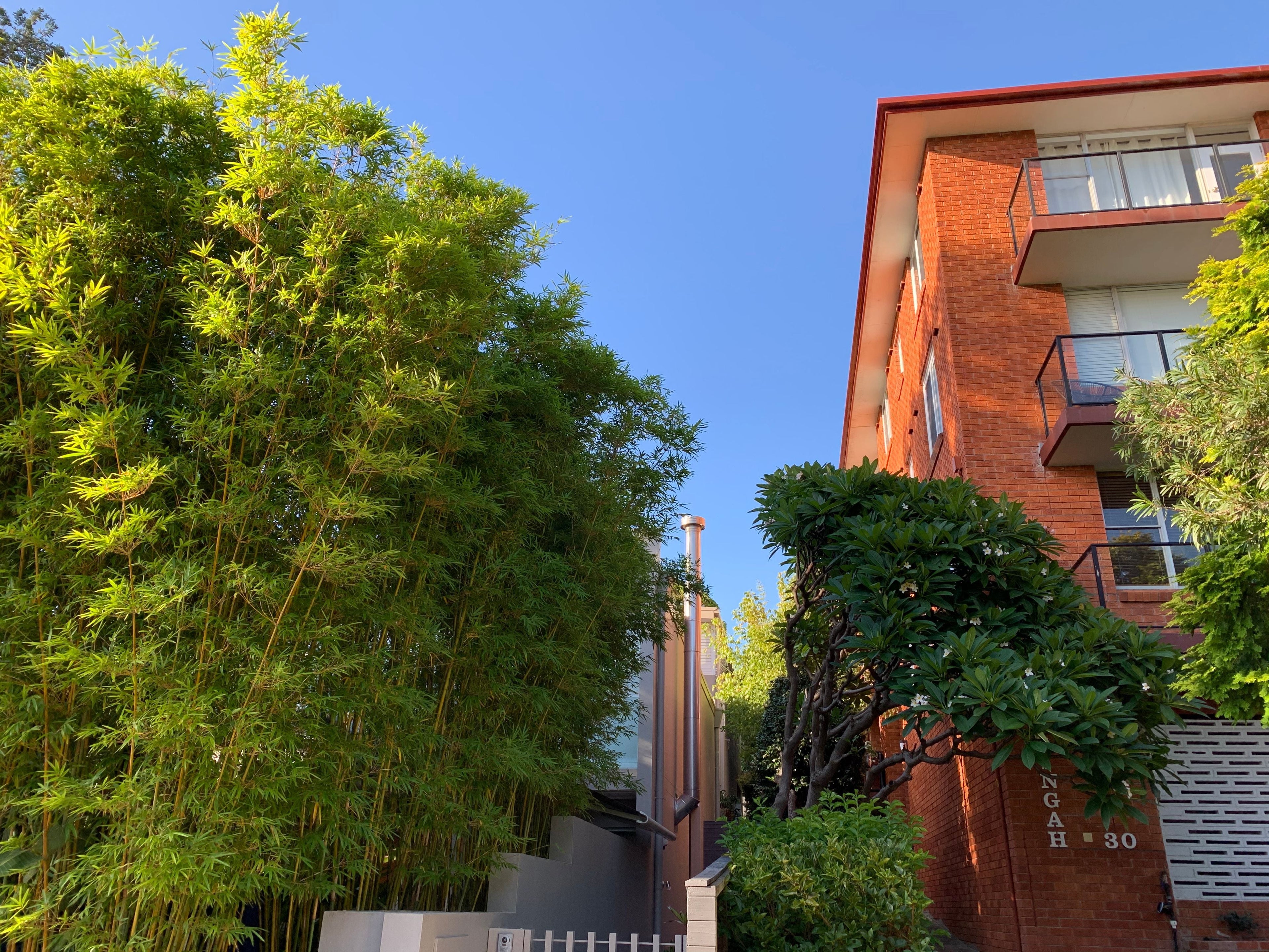 Multi Story, typical heights 10m plus (tap to view range)
